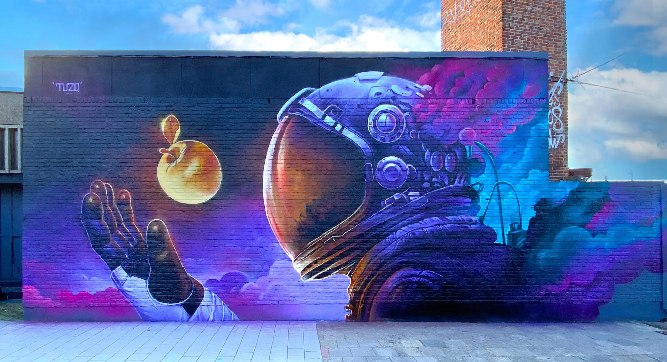 C COSMIC FRUIT